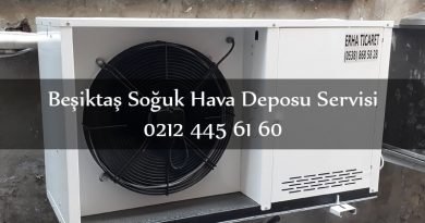 Beşiktaş Soğuk Hava Deposu Servisi