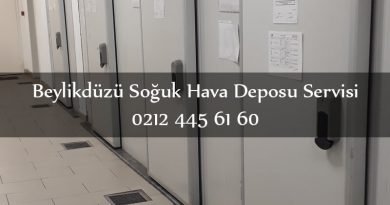 Beylikdüzü Soğuk Hava Deposu Servisi