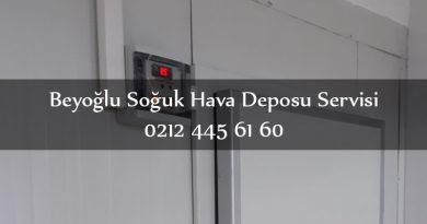 Beyoğlu Soğuk Hava Deposu Servisi