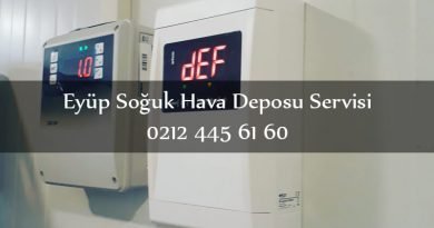 Eyüp Soğuk Hava Deposu Servisi