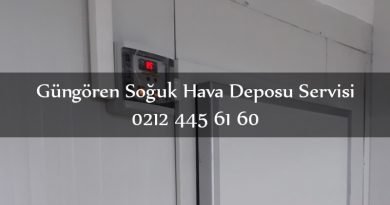 GÜNGÖREN SOĞUK HAVA DEPOSU SERVİSİ