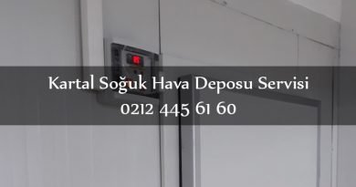 KARTAL SOĞUK HAVA DEPOSU SERVİSİ